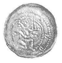 denar, Aw: Książę siedzący z mieczem i napis VOLDIZV, Rw: Głowa i napis VOLDIZV, Kop. IV.2. -RR-.