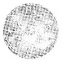 trzeciak 1596, Malbork, Aw: S pod III, Rw: Tarcze herbowe, Kop. IIm. -R-, Cz. 1003 R2.