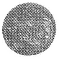 trzeciak 1619, Kraków, Aw: S pod III, Rw: Tarcze herbowe, Kop. III.4. -R-, Cz. 1391 Rl.