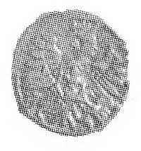denar 1603, Poznań, Aw: Klucze pod koroną, Rw: Orzeł, Kop. I.3a. -RR-, Cz. 1197 R3, T. 3.
