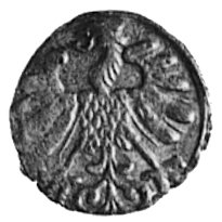 denar 1558, Wilno, Aw: Orzeł, Rw: Pogoń, Gum.592
