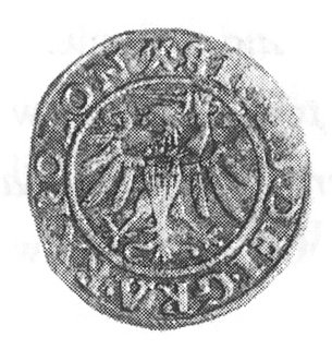 szeląg 1539, Gdańsk, Aw: Orzeł Prus Królewskich i napis, Rw: Herb Gdańska i napis, Gum.552, Kurp.427 R