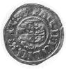 grosz 1611, Nowopole (Franzburg), j.w., Kop.37.1.4 -R-, Hild 183