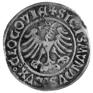 grosz 1506, Głogów, Aw: Orzeł i napis, Rw: Pogoń i napis, Gum.474, Kurp.4, pierwsza datowana moneta polska