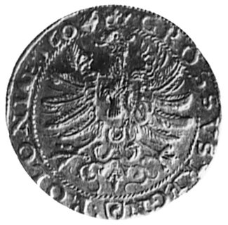 grosz 1604, Kraków, Aw: Popiersie w koronie i na