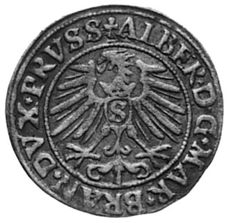 grosz 1550, Królewiec, Aw: Popiersie i napis, Rw