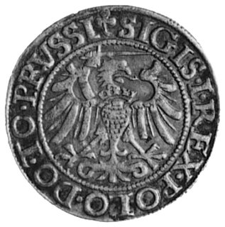 grosz 1540, Elbląg, Aw: Orzeł Prus Królewskich (ręka z mieczem z lewej strony) i napis, Rw: Herb Elbląga i napis,Gum.583, Kurp.611 R