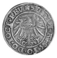 grosz 1534, Elbląg, Aw: Orzeł Prus Królewskich i napis, Rw: Herb Elbląga i napis, Gum. 582, Kurp. ..
