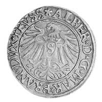 grosz 1537, Królewiec, Aw: Popiersie i napis, Rw: Orzeł i napis, Kop. I 8, Neumann 45.