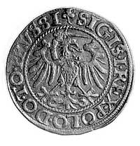 grosz 1540, Elbląg, Aw: Orzeł Prus Królewskich (ręka z mieczem z lewej strony) i napis, Rw: Herb E..