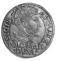 grosz na stopę polską 1548, Wilno, Aw: Popiersie w koronie i napis, Rw: Pogoń i napis, Gum. 610, K..