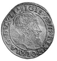 grosz na stopę litewską 1559, Wilno, Aw: Popiers