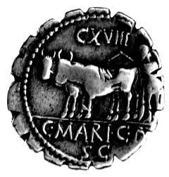 denar- C. Marius C.f. Capito 81 pne, Aw: Głowa Ceres w prawo, z tyłu CAPIT CXVIII