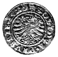 szeląg dla ziem pruskich 1529, Toruń, Kurp. 242 R, Gum. 522, ładny egzemplarz.