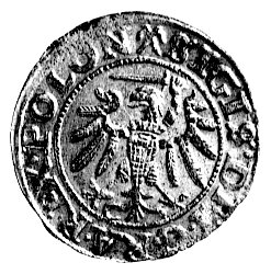 szeląg 1539, Gdańsk, na awersie znak menniczy haki, na rewersie znak menniczy rozetka, Kurp. 427 R, Gum. 552, ładny egzemplarz.