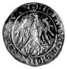 grosz 1536, Wilno, pod Pogonią literka F, nienotowana odmiana napisu na awersie SIGISMV P REX PO M..