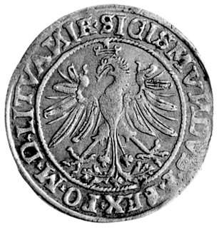 grosz 1535, Wilno, na awersie i rewersie litery N są odwrócone, Kurp. 192 R2, Gum. 514, T. 7, ładnie wybita moneta.