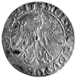 grosz 1535, Wilno, pod Pogonią literka N, nienot