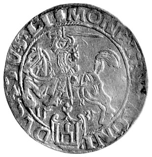 grosz 1535, Wilno, pod Pogonią literka N, nienot