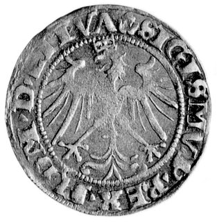 grosz 1536, Wilno, pod Pogonią literka F, Kurp. 