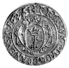 grosz 1625, Gdańsk, Kurp. 2224 R, Gum. 1375.