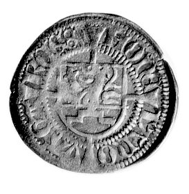 szeląg 148?, Gardziec, Dbg. 377, -RRR-, Dannenberg opisuję tę monetę jako odmianę z niedokończoną datą.