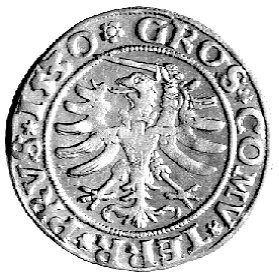 grosz 1530, Toruń, Kurp. 276 R, Gum. 526, ręka z mieczem z prawej strony
