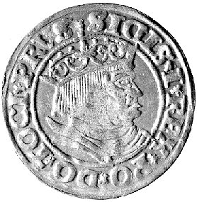 grosz 1532, Toruń, Kurp. 304 R, Gum. 528