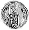 Wenecja- Andrea Contarini 1368- 1382, soldino, Aw: Doża ze sztandarem w lewo i napis w otoku: ANDR..