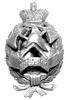 brązowa odznaka Rosyjskiego Stowarzyszenia Pożar