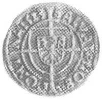 grosz 1523, Królewiec, Aw:Orzeł na tarczy z długim krzyżem i napis, Rw: Tarcza Wielkiego Mistrza i..