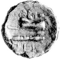 Olbia, AE-24, 230-220 pne, Aw: Głowa Heraklesa w