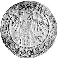 grosz 1536, Wilno, pod Pogonią litera I, odmiana