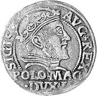 grosz na stopę polską 1547, Wilno, drugi egzempl