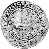 grosz 1534 Królewiec z kontrasygnatą miasta Gdań