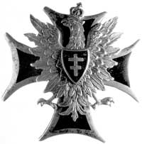 odznaka Frontu Litewsko-Białoruskiego, na krzyżu