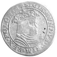 trojak 1528, Kraków, odmiana głowa Orła w prawo, Kurp. 70 R4, Gum. 493, T. 40, 5.62 g, bardzo rzad..