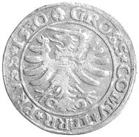 grosz 1530, Toruń, Kurp. 273 R, Gum. 526