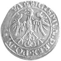 grosz 1536, Wilno, odmiana z literą I pod Pogonią, awers odmiana napisu SIGISMVN P REX PO M D LITV..