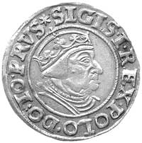 grosz 1539, Gdańsk, Kurp. 482 R, Gum. 565, zarysowane tło na rewersie, stara patyna