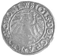 szeląg 1538, Gdańsk, odmiana- nad herbem korona z 5 płatkami, Kurp. 421 R, Gum. 551
