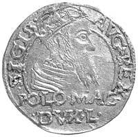 grosz na stopę polską 1566, Tykocin, drugi egzemplarz, drobne różnice interpunkcyjne