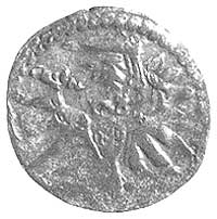 denar 1555, Gdańsk, drugi egzemplarz