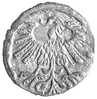 denar 1559, Wilno, Kurp. 646 R3, Gum. 592, T. 8
