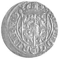 półtorak 1620, Ryga, Lisek pod jabłkiem królewsk