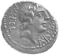 C. Caecilius Metellus 96 pne, denar, Aw: Głowa A
