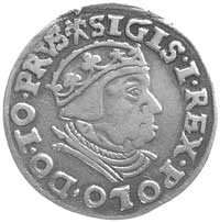 trojak 1539, Gdańsk, Kurp. 518 R1, Gum. 572, śla