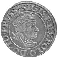 grosz 1538, Gdańsk, Kurp. 478 R, Gum. 564, bardzo ładnie zachowana moneta z pięknym renesansowym p..