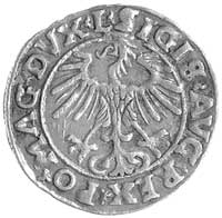 półgrosz 1555, Wilno, Aw: SIGIS AVG REX PO MAG DVX L, nienotowana w katalogu Kurpiewskiego, Gum. 598