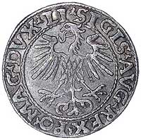 półgrosz 1553, Wilno, Kurp. 680 R3, Gum. 598, T. 5, rzadka i ładnie zachowana moneta